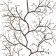 GloboStar® Artificial Garden SMALL CORAL 21463 Τεχνητό Διακοσμητικό Κλαδί Καφέ Μ40 x Π7 x Υ142cm GloboStar® Artificial Garden SMALL CORAL 21463 Τεχνητό Διακοσμητικό Κλαδί Καφέ Μ40 x Π7 x Υ142cm