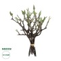GloboStar® Artificial Garden GREEN ORCHID BOUQET 21466 Τεχνητό Διακοσμητικό Μπουκέτο Πράσινη Ορχιδέα Y34cm