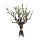 GloboStar® Artificial Garden GREEN ORCHID BOUQET 21466 Τεχνητό Διακοσμητικό Μπουκέτο Πράσινη Ορχιδέα Y34cm GloboStar® Artificial Garden GREEN ORCHID BOUQET 21466 Τεχνητό Διακοσμητικό Μπουκέτο Πράσινη Ορχιδέα Y34cm