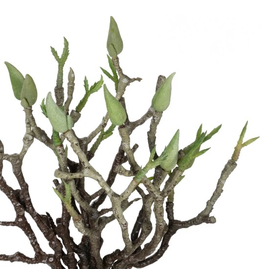 GloboStar® Artificial Garden GREEN ORCHID BOUQET 21466 Τεχνητό Διακοσμητικό Μπουκέτο Πράσινη Ορχιδέα Y34cm GloboStar® Artificial Garden GREEN ORCHID BOUQET 21466 Τεχνητό Διακοσμητικό Μπουκέτο Πράσινη Ορχιδέα Y34cm