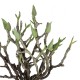 GloboStar® Artificial Garden GREEN ORCHID BOUQET 21466 Τεχνητό Διακοσμητικό Μπουκέτο Πράσινη Ορχιδέα Y34cm GloboStar® Artificial Garden GREEN ORCHID BOUQET 21466 Τεχνητό Διακοσμητικό Μπουκέτο Πράσινη Ορχιδέα Y34cm