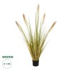 GloboStar® Artificial Garden PAMPAS GRASS 21478 Τεχνητό Διακοσμητικό Φυτό Μπεζ & Πράσινο Πάμπας Μ90 x Π40 x Υ150cm