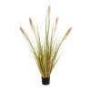 GloboStar® Artificial Garden PAMPAS GRASS 21478 Τεχνητό Διακοσμητικό Φυτό Μπεζ & Πράσινο Πάμπας Μ90 x Π40 x Υ150cm