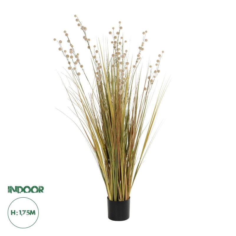GloboStar® Artificial Garden CRASPEDIA GRASS 21480 Τεχνητό Διακοσμητικό Φυτό Μπεζ & Πράσινο Κρασπέδια Μ90 x Π60 x Υ175cm