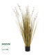 GloboStar® Artificial Garden CRASPEDIA GRASS 21480 Τεχνητό Διακοσμητικό Φυτό Μπεζ & Πράσινο Κρασπέδια Μ90 x Π60 x Υ175cm
