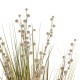GloboStar® Artificial Garden CRASPEDIA GRASS 21480 Τεχνητό Διακοσμητικό Φυτό Μπεζ & Πράσινο Κρασπέδια Μ90 x Π60 x Υ175cm