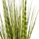 GloboStar® Artificial Garden ZEBRA GRASS 21481 Τεχνητό Διακοσμητικό Φυτό Ζέμπρα Μ30 x Π20 x Υ90cm GloboStar® Artificial Garden ZEBRA GRASS 21481 Τεχνητό Διακοσμητικό Φυτό Ζέμπρα Μ30 x Π20 x Υ90cm
