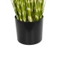 GloboStar® Artificial Garden ZEBRA GRASS 21481 Τεχνητό Διακοσμητικό Φυτό Ζέμπρα Μ30 x Π20 x Υ90cm GloboStar® Artificial Garden ZEBRA GRASS 21481 Τεχνητό Διακοσμητικό Φυτό Ζέμπρα Μ30 x Π20 x Υ90cm