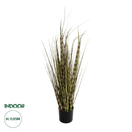 GloboStar® Artificial Garden ZEBRA GRASS 21482 Τεχνητό Διακοσμητικό Φυτό Ζέμπρα Υ85cm GloboStar® Artificial Garden ZEBRA GRASS 21482 Τεχνητό Διακοσμητικό Φυτό Ζέμπρα Υ85cm