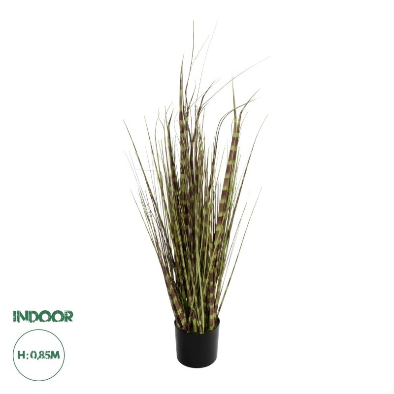 GloboStar® Artificial Garden ZEBRA GRASS 21482 Τεχνητό Διακοσμητικό Φυτό Ζέμπρα  Υ85cm