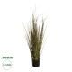 GloboStar® Artificial Garden ZEBRA GRASS 21482 Τεχνητό Διακοσμητικό Φυτό Ζέμπρα Υ85cm GloboStar® Artificial Garden ZEBRA GRASS 21482 Τεχνητό Διακοσμητικό Φυτό Ζέμπρα Υ85cm