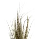 GloboStar® Artificial Garden ZEBRA GRASS 21482 Τεχνητό Διακοσμητικό Φυτό Ζέμπρα Υ85cm GloboStar® Artificial Garden ZEBRA GRASS 21482 Τεχνητό Διακοσμητικό Φυτό Ζέμπρα Υ85cm