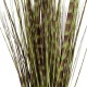GloboStar® Artificial Garden ZEBRA GRASS 21482 Τεχνητό Διακοσμητικό Φυτό Ζέμπρα Υ85cm GloboStar® Artificial Garden ZEBRA GRASS 21482 Τεχνητό Διακοσμητικό Φυτό Ζέμπρα Υ85cm
