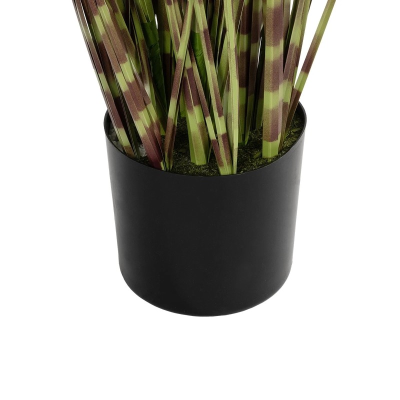 GloboStar® Artificial Garden ZEBRA GRASS 21482 Τεχνητό Διακοσμητικό Φυτό Ζέμπρα  Υ85cm
