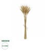 GloboStar® Artificial Garden REAL DRIED WHEAT GRASS 21488 Τεχνητό Διακοσμητικό Κλαδί Σιταριού Y30cm