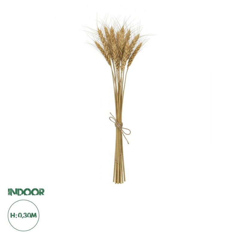GloboStar® Artificial Garden REAL DRIED WHEAT GRASS 21488 Τεχνητό Διακοσμητικό Κλαδί Σιταριού Y30cm