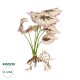 GloboStar® Artificial Garden BEGONIA LEAVES ROOTED 21489 Τεχνητό Διακοσμητικό Φυτό Πολύχρωμη Βιγόνια Μ25 x Π14 x Υ35cm GloboStar® Artificial Garden BEGONIA LEAVES ROOTED 21489 Τεχνητό Διακοσμητικό Φυτό Πολύχρωμη Βιγόνια Μ25 x Π14 x Υ35cm