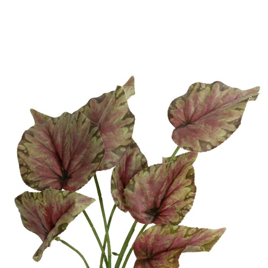 GloboStar® Artificial Garden BEGONIA LEAVES ROOTED 21490 Τεχνητό Διακοσμητικό Φυτό Πολύχρωμη Βιγόνια Μ25 x Π14 x Υ35cm GloboStar® Artificial Garden BEGONIA LEAVES ROOTED 21490 Τεχνητό Διακοσμητικό Φυτό Πολύχρωμη Βιγόνια Μ25 x Π14 x Υ35cm
