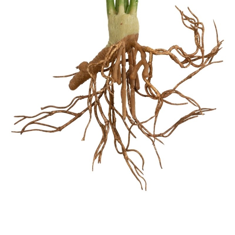 GloboStar® Artificial Garden BEGONIA LEAVES ROOTED 21490 Τεχνητό Διακοσμητικό Φυτό Πολύχρωμη Βιγόνια Μ25 x Π14 x Υ35cm