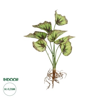 GloboStar® Artificial Garden BEGONIA LEAVES ROOTED 21491 Τεχνητό Διακοσμητικό Φυτό Πολύχρωμη Βιγόνια Μ25 x Π14 x Υ35cm