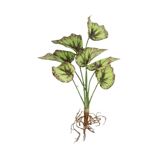 GloboStar® Artificial Garden BEGONIA LEAVES ROOTED 21491 Τεχνητό Διακοσμητικό Φυτό Πολύχρωμη Βιγόνια Μ25 x Π14 x Υ35cm GloboStar® Artificial Garden BEGONIA LEAVES ROOTED 21491 Τεχνητό Διακοσμητικό Φυτό Πολύχρωμη Βιγόνια Μ25 x Π14 x Υ35cm