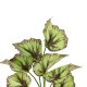GloboStar® Artificial Garden BEGONIA LEAVES ROOTED 21491 Τεχνητό Διακοσμητικό Φυτό Πολύχρωμη Βιγόνια Μ25 x Π14 x Υ35cm GloboStar® Artificial Garden BEGONIA LEAVES ROOTED 21491 Τεχνητό Διακοσμητικό Φυτό Πολύχρωμη Βιγόνια Μ25 x Π14 x Υ35cm