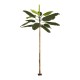 GloboStar® Artificial Garden BANANA TREE 21502 Τεχνητό Διακοσμητικό Δέντρο Μπανανιάς Υ500cm GloboStar® Artificial Garden BANANA TREE 21502 Τεχνητό Διακοσμητικό Δέντρο Μπανανιάς Υ500cm