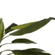 GloboStar® Artificial Garden BANANA TREE 21502 Τεχνητό Διακοσμητικό Δέντρο Μπανανιάς Υ500cm GloboStar® Artificial Garden BANANA TREE 21502 Τεχνητό Διακοσμητικό Δέντρο Μπανανιάς Υ500cm