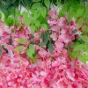 GloboStar® Artificial Garden HOT PINK WISTERIA FLOWER BRANCH 21512 Σετ 12 Τεχνητά Διακοσμητικά κλαδιά Βιστέριας Έντονο Ροζ Φ45 x Υ120cm