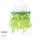 GloboStar® Artificial Garden GREEN WISTERIA FLOWER BRANCH 21514 Σετ 12 Τεχνητά Διακοσμητικά κλαδιά Βιστέριας Πράσινο Φ45 x Υ120cm GloboStar® Artificial Garden GREEN WISTERIA FLOWER BRANCH 21514 Σετ 12 Τεχνητά Διακοσμητικά κλαδιά Βιστέριας Πράσινο Φ45 x Υ120cm