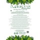 GloboStar® Artificial Garden BEGONIA HANGING PLANT 20639 Τεχνητό Κρεμαστό Διακοσμητικό Φυτό Βιγόνια Π75 x Μ75 x Y80cm