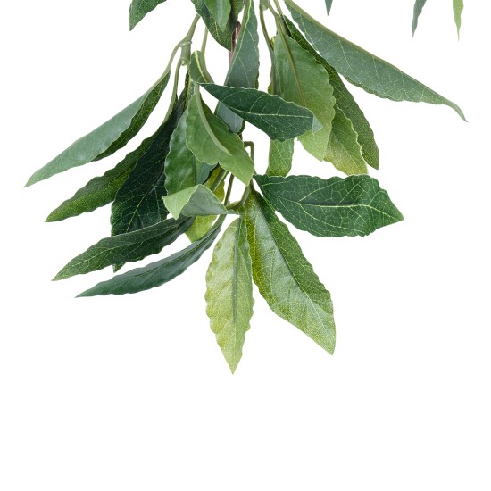 GloboStar® Artificial Garden LAURUS NOBILIS BRANCH 20225 10 x Τεχνητά Διακοσμητικά Κλαδία Δάφνης Π45 x Υ60cm GloboStar® Artificial Garden LAURUS NOBILIS BRANCH 20225 10 x Τεχνητά Διακοσμητικά Κλαδία Δάφνης Π45 x Υ60cm