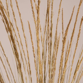 GloboStar® SMUTGRASS 36502 Αποξηραμένο Φυτό Χορταφιλιά - Μπουκέτο Διακοσμητικών Κλαδιών Μπεζ - Πράσινο Υ90cm - Σετ 100 τμχ