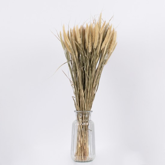 GloboStar® PENNISETUM 36503 Αποξηραμένο Φυτό Πεννήσιο - Μπουκέτο Διακοσμητικών Κλαδιών Μπεζ - Πράσινο Υ60cm GloboStar® PENNISETUM 36503 Αποξηραμένο Φυτό Πεννήσιο - Μπουκέτο Διακοσμητικών Κλαδιών Μπεζ - Πράσινο Υ60cm