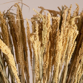 GloboStar® ERICAGRASS 36504 Αποξηραμένο Φυτό Έρρικα - Μπουκέτο Διακοσμητικών Κλαδιών Μπεζ - Πράσινο Υ60cm - Σετ 100 τμχ