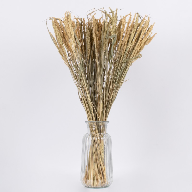 GloboStar® ERICAGRASS 36504 Αποξηραμένο Φυτό Έρρικα - Μπουκέτο Διακοσμητικών Κλαδιών Μπεζ - Πράσινο Υ60cm