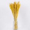GloboStar® RISEGRASS 36506 Αποξηραμένο Φυτό Ρύζι - Μπουκέτο Διακοσμητικών Κλαδιών Μπεζ - Κίτρινο Υ60cm