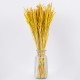 GloboStar® RISEGRASS 36506 Αποξηραμένο Φυτό Ρύζι - Μπουκέτο Διακοσμητικών Κλαδιών Μπεζ - Κίτρινο Υ60cm