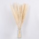 GLOBOSTAR® PAMPASGRASS 36507 Αποξηραμένο Διακοσμητικό Μπουκέτο Γρασίδι της Πάμπας - Μπεζ - Μ20 x Π20 x Υ80cm - Πακέτο 10 Τεμαχίων