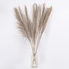 GloboStar® PAMPASGRASS 36512 Αποξηραμένο Φυτό Γρασίδι της Πάμπας - Μπουκέτο Διακοσμητικών Κλαδιών Καφέ - Γκρι Υ100cm