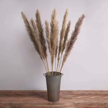 GLOBOSTAR® PAMPASGRASS 36514 Αποξηραμένο Διακοσμητικό Μπουκέτο Γρασίδι της Πάμπας - Καφέ - Μ20 x Π20 x Υ150cm - Πακέτο 5 Τεμαχίων