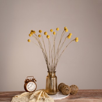 GloboStar® GRASPEDIA 36533 Αποξηραμένο Φυτό Κρασπέδια Φ3cm - Μπουκέτο Διακοσμητικών Κλαδιών Μπεζ - Κίτρινο Υ70cm - Σετ 20 τμχ
