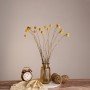 GloboStar® GRASPEDIA 36533 Αποξηραμένο Φυτό Κρασπέδια Φ3cm - Μπουκέτο Διακοσμητικών Κλαδιών Μπεζ - Κίτρινο Υ70cm - Σετ 20 τμχ