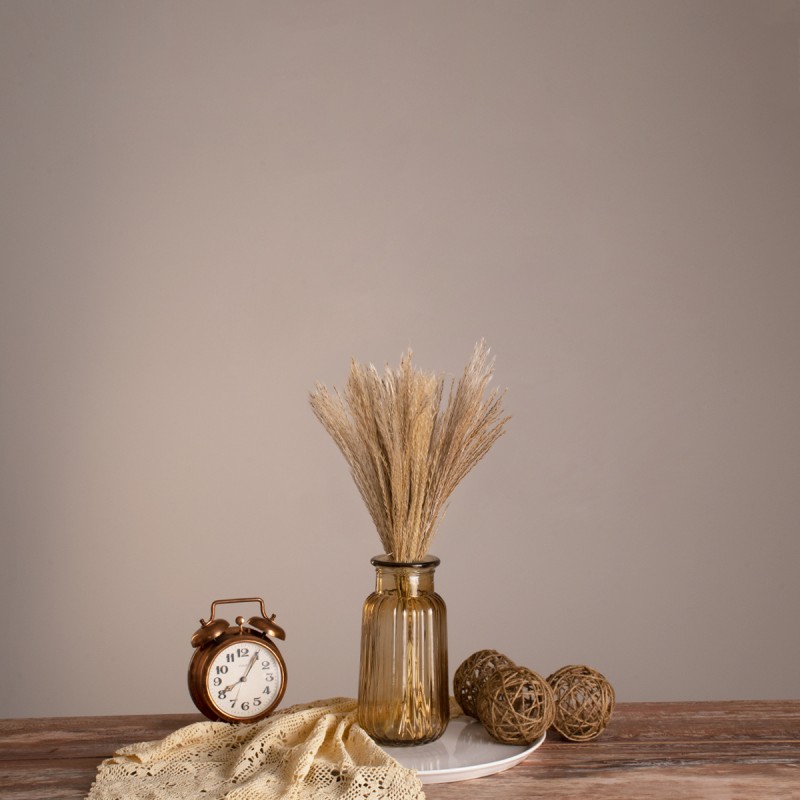 GLOBOSTAR® MISCANTHUS 36534 Αποξηραμένο Διακοσμητικό Μπουκέτο Μίσχανθος - Μπεζ - Μ20 x Π20 x Υ40cm - Πακέτο 20 Τεμαχίων