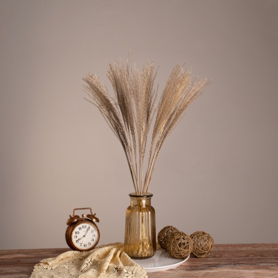 GLOBOSTAR® MISCANTHUS 36535 Αποξηραμένο Διακοσμητικό Μπουκέτο Μίσχανθος - Μπεζ - Μ20 x Π20 x Υ60cm - Πακέτο 20 Τεμαχίων