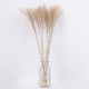 GLOBOSTAR® MISCANTHUS 36536 Αποξηραμένο Διακοσμητικό Μπουκέτο Μίσχανθος - Μπεζ - Μ20 x Π20 x Υ80cm - Πακέτο 20 Τεμαχίων