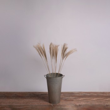 GLOBOSTAR® MISCANTHUS 36537 Αποξηραμένο Διακοσμητικό Μπουκέτο Μίσχανθος - Μπεζ - Μ20 x Π20 x Υ100cm - Πακέτο 20 Τεμαχίων