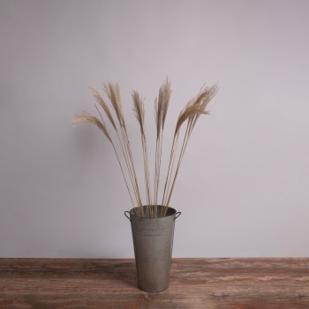 GloboStar® MISCANTHUS 36538 Αποξηραμένο Φυτό Μίσχανθος - Μπουκέτο Διακοσμητικών Κλαδιών Μπεζ Υ120cm - Σετ 10 τμχ