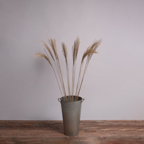 GloboStar® MISCANTHUS 36538 Αποξηραμένο Φυτό Μίσχανθος - Μπουκέτο Διακοσμητικών Κλαδιών Μπεζ Υ120cm