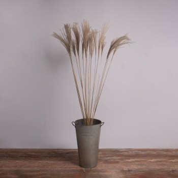 GloboStar® MISCANTHUS 36539 Αποξηραμένο Φυτό Μίσχανθος - Μπουκέτο Διακοσμητικών Κλαδιών Μπεζ Υ140cm - Σετ 10 τμχ